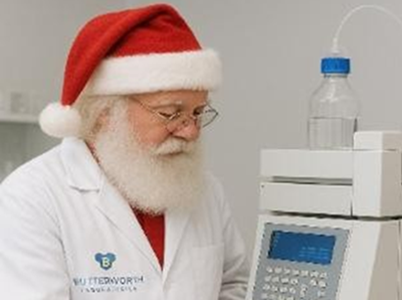 Santa Analyst Festive Offer